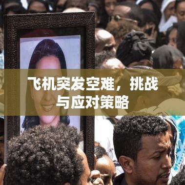 飞机突发空难，挑战与应对策略