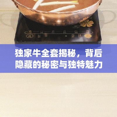 蹉跎岁月 第4页