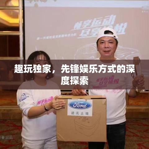 趣玩独家，先锋娱乐方式的深度探索