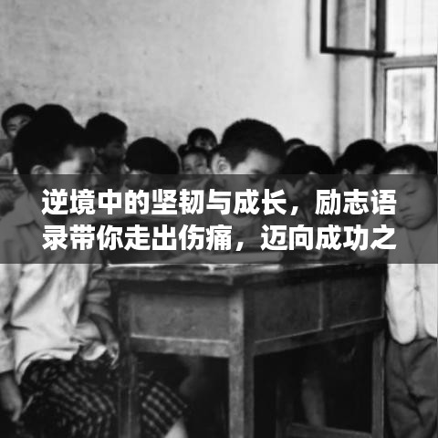 逆境中的坚韧与成长，励志语录带你走出伤痛，迈向成功之路