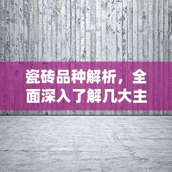 奔走如飞 第3页