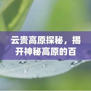 云贵高原探秘，揭开神秘高原的百度奥秘之旅