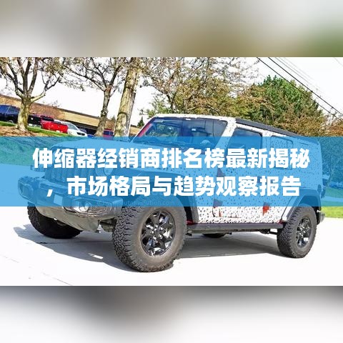 伸缩器经销商排名榜最新揭秘，市场格局与趋势观察报告