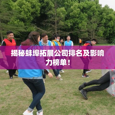 揭秘蚌埠拓展公司排名及影响力榜单！
