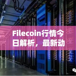 Filecoin行情今日解析，最新动态与趋势预测