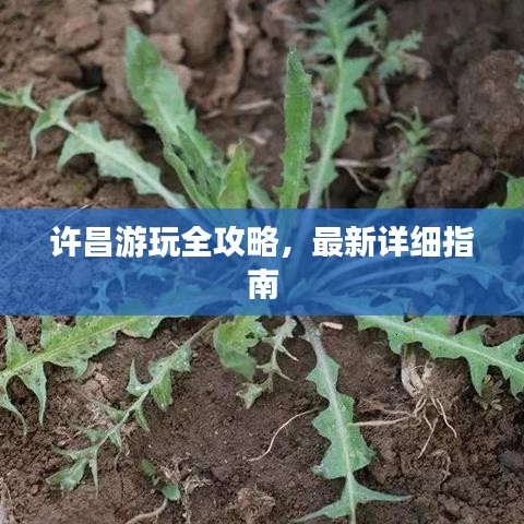 许昌游玩全攻略，最新详细指南