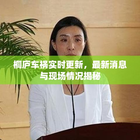 桐庐车祸实时更新，最新消息与现场情况揭秘