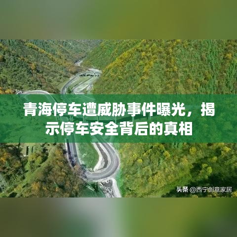 青海停车遭威胁事件曝光，揭示停车安全背后的真相