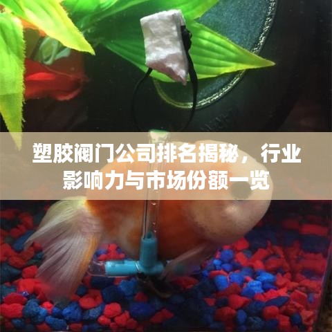 塑胶阀门公司排名揭秘，行业影响力与市场份额一览