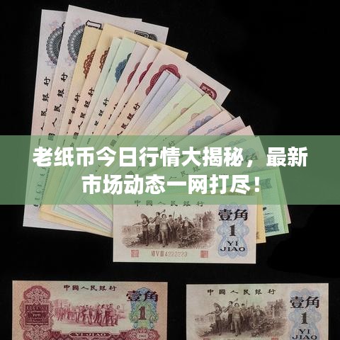 老纸币今日行情大揭秘，最新市场动态一网打尽！