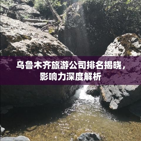 乌鲁木齐旅游公司排名揭晓，影响力深度解析