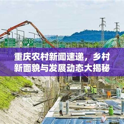 重庆农村新闻速递，乡村新面貌与发展动态大揭秘