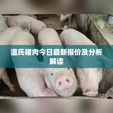 温氏猪肉今日最新报价及分析解读
