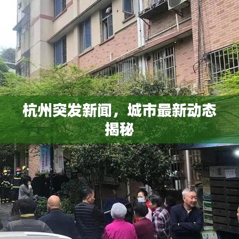 杭州突发新闻，城市最新动态揭秘