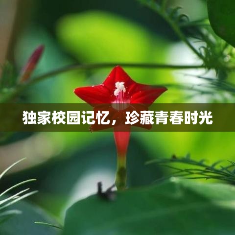 美如冠玉 第3页
