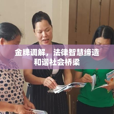 金牌调解，法律智慧缔造和谐社会桥梁