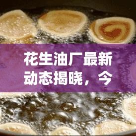 花生油厂最新动态揭晓，今日消息震撼来袭！
