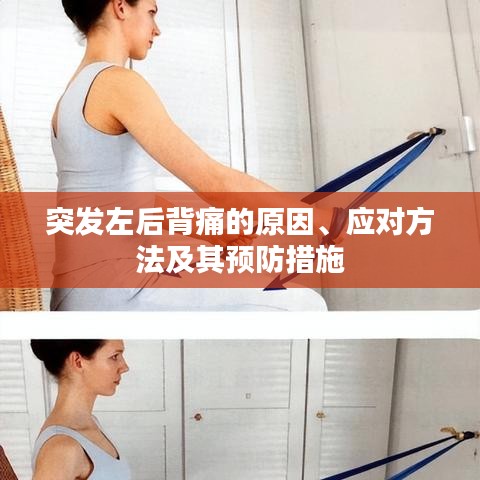 突发左后背痛的原因、应对方法及其预防措施