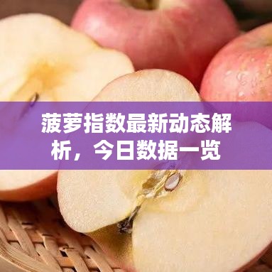 菠萝指数最新动态解析，今日数据一览
