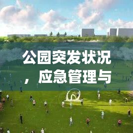 公园突发状况，应急管理与公众安全的紧密交汇点