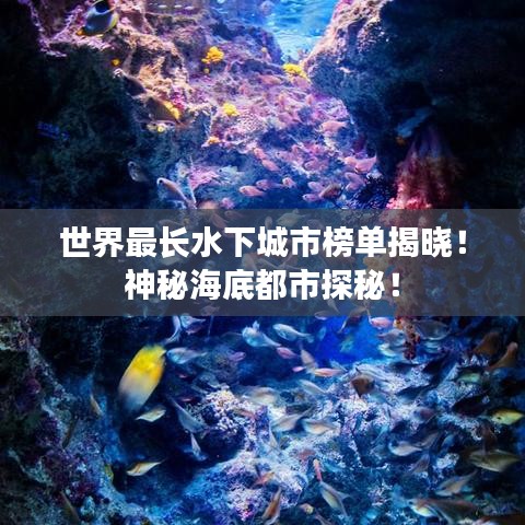 世界最长水下城市榜单揭晓！神秘海底都市探秘！