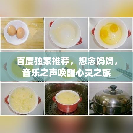衣不兼采 第3页