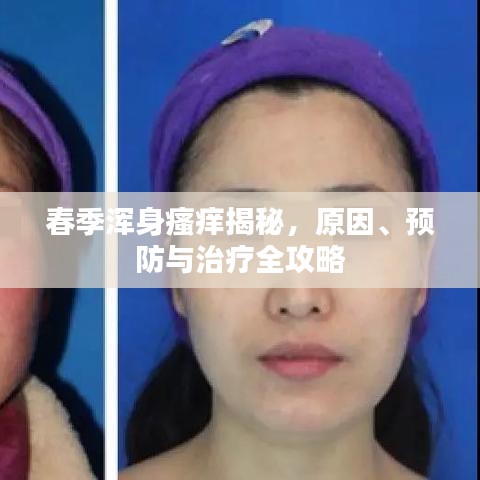 两袖清风 第3页