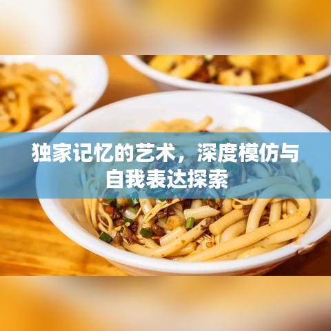 独家记忆的艺术，深度模仿与自我表达探索