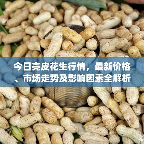 今日壳皮花生行情，最新价格、市场走势及影响因素全解析