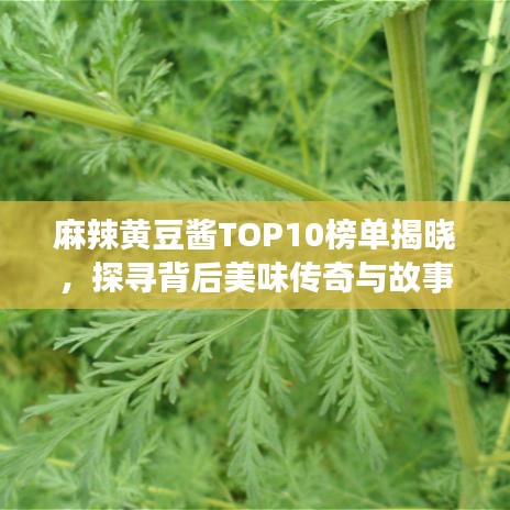 麻辣黄豆酱TOP10榜单揭晓，探寻背后美味传奇与故事！