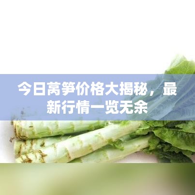 鸟覆危巢 第3页