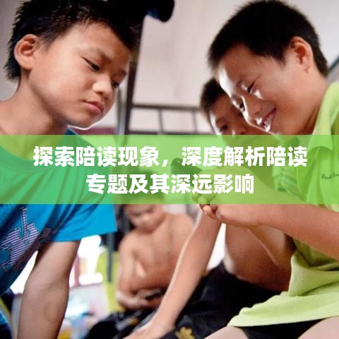 探索陪读现象，深度解析陪读专题及其深远影响
