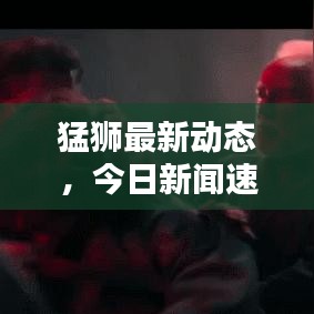 猛狮最新动态，今日新闻速递