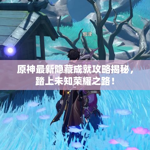 原神最新隐藏成就攻略揭秘，踏上未知荣耀之路！