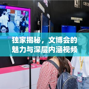 独家揭秘，文博会的魅力与深层内涵视频欣赏
