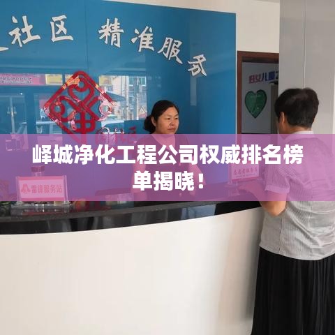 峄城净化工程公司权威排名榜单揭晓！