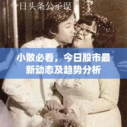 小散必看，今日股市最新动态及趋势分析