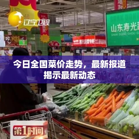 今日全国菜价走势，最新报道揭示最新动态