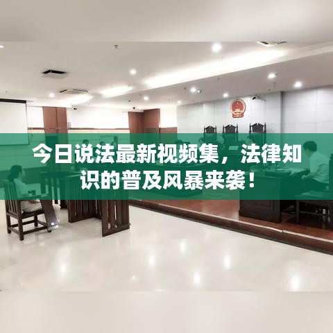 今日说法最新视频集，法律知识的普及风暴来袭！