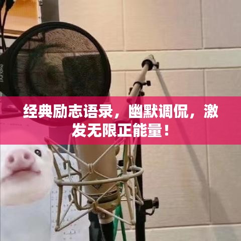 经典励志语录，幽默调侃，激发无限正能量！