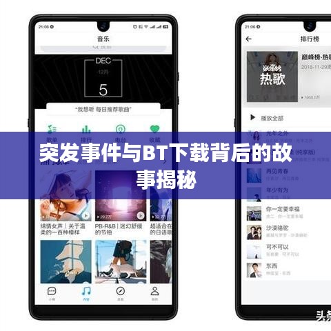 突发事件与BT下载背后的故事揭秘
