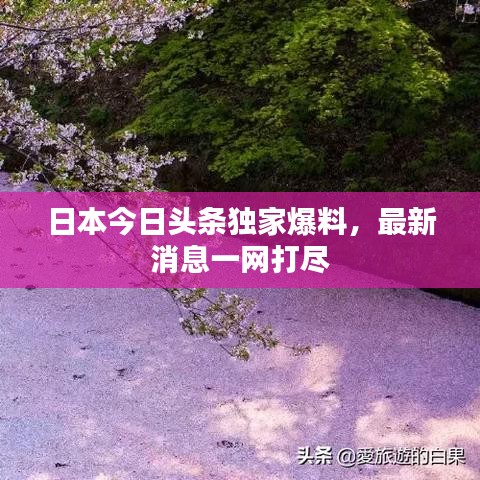 日本今日头条独家爆料，最新消息一网打尽