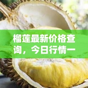 榴莲最新价格查询，今日行情一目了然！