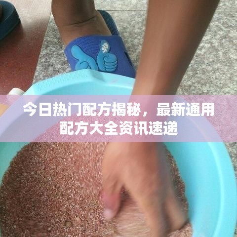 今日热门配方揭秘，最新通用配方大全资讯速递