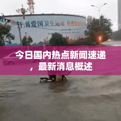 今日国内热点新闻速递，最新消息概述