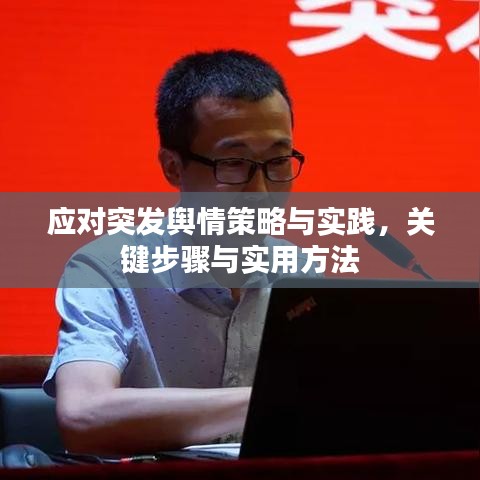 应对突发舆情策略与实践，关键步骤与实用方法