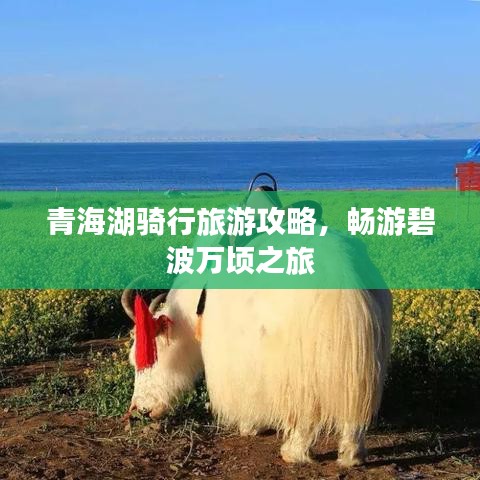 青海湖骑行旅游攻略，畅游碧波万顷之旅