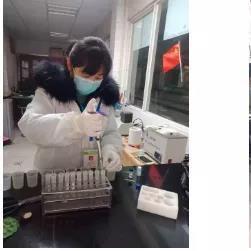 关于微信苹果历史版本下载，定量分析解释定义模拟版_v9.259的FAQ