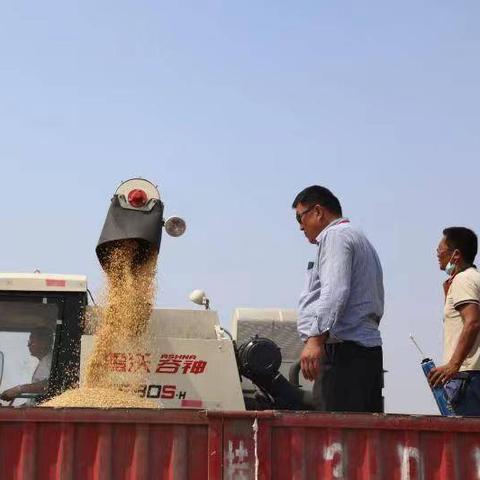 私麦官方下载,高效计划设计-iPad_v7.938