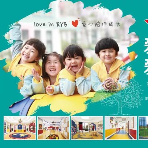 核心功能清单，睿教育官方下载，预测说明解析试用版_v3.236